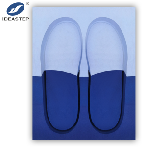 Dual-density EVA foot mold box for customized insoles